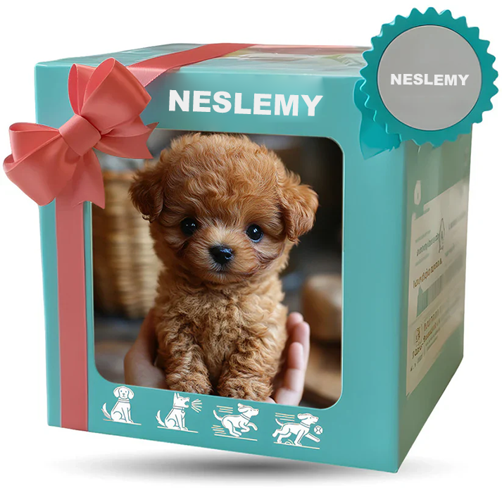 🐶🌭NESLEMY - My Realistic Robot Puppy