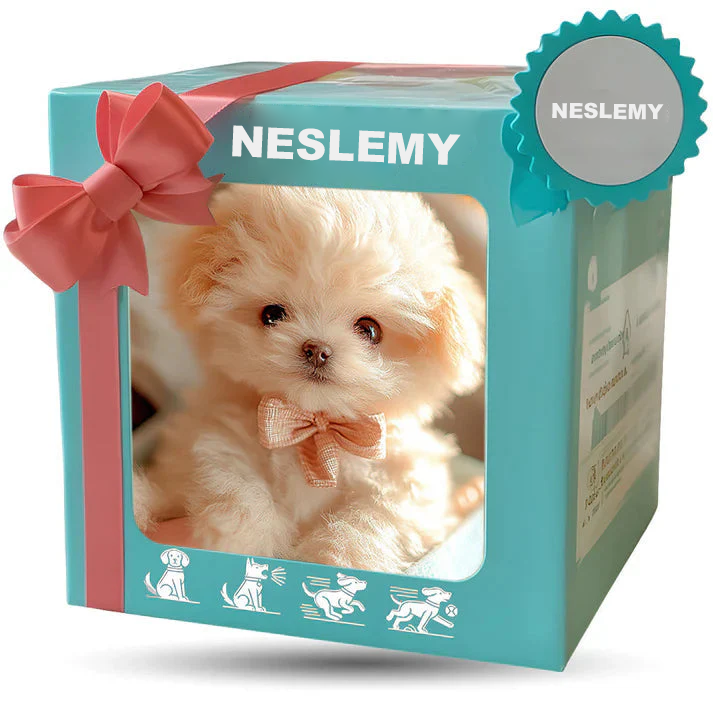 🐶🌭NESLEMY - My Realistic Robot Puppy