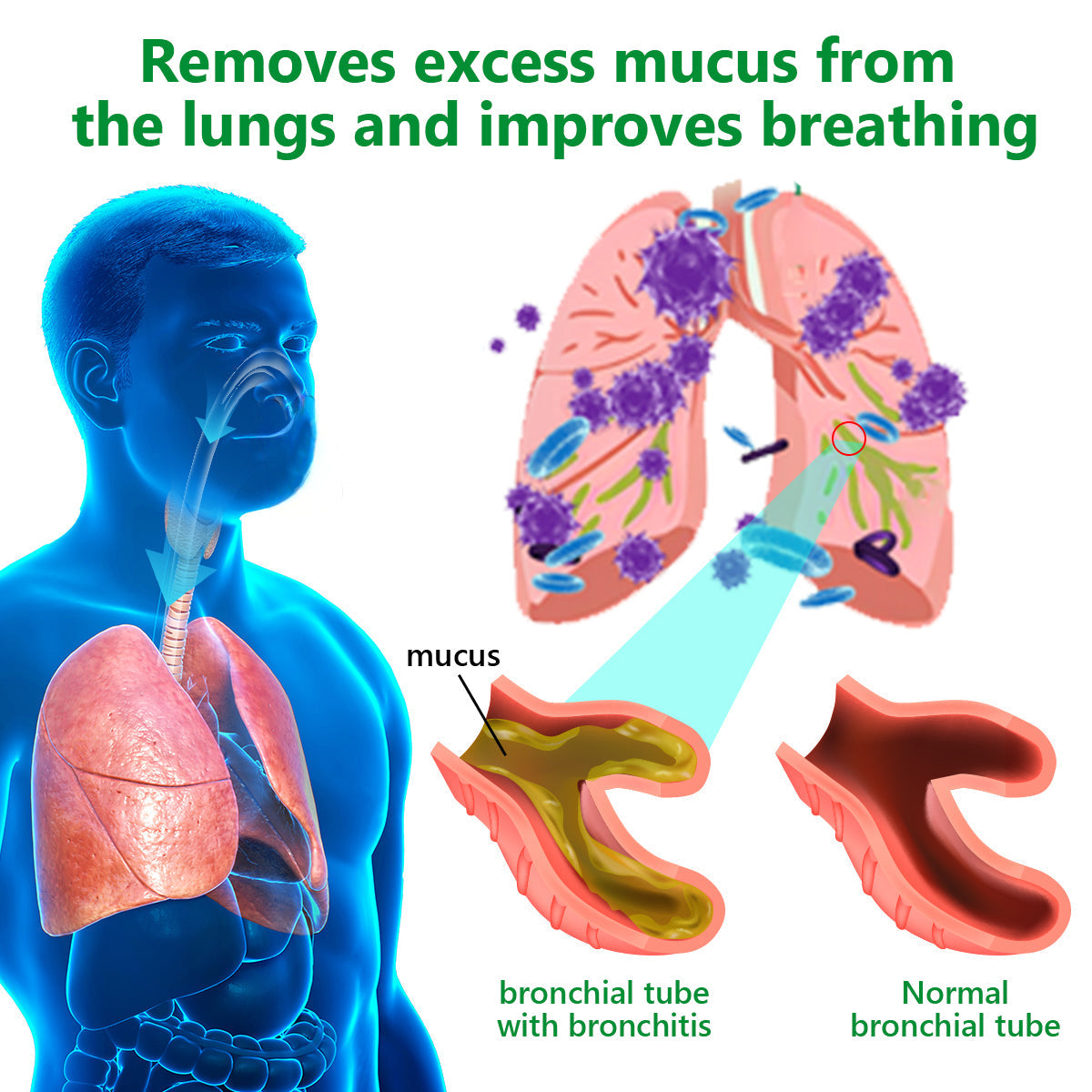 LOVILDS™ Cow’s Lungwort Clear Lung Repair Cream💥💥- Endorsed by the American Thoracic Society to support lung health👑👑.